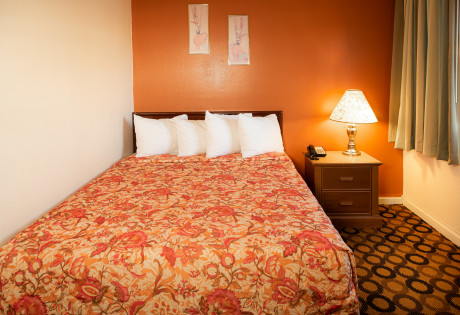 1 King Ada Guestroom