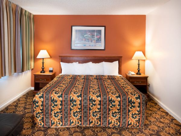 A hotel room with a king bed, orange accent wall, two nightstands, matching lamps, framed art, patterned bedspread, and a carpeted floor.