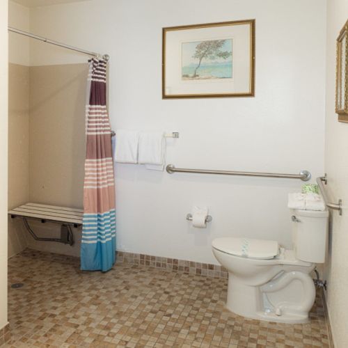 A bathroom with a toilet, a shower with a colorful curtain, a ladder-style towel rack, tiled floor, and framed art on the wall, all tidy and functional.